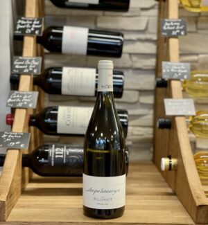 Ampelomeryx blanc – Image 1